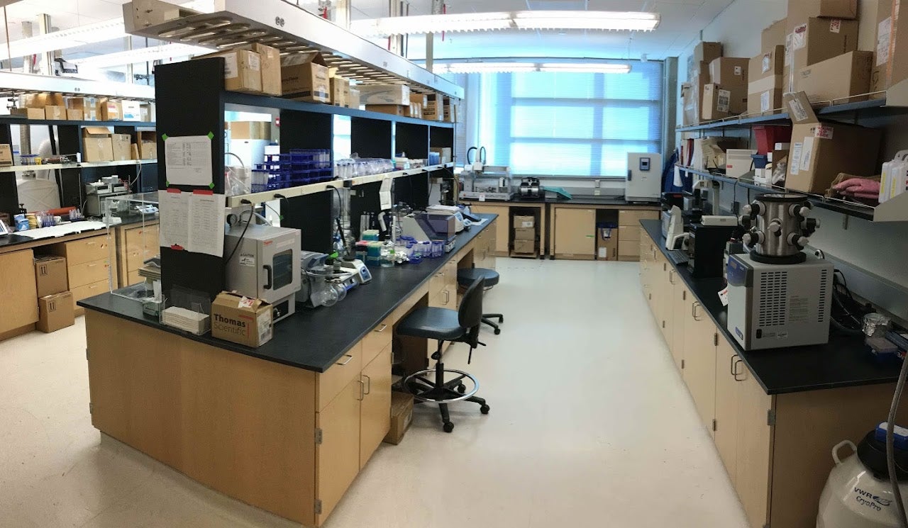UC Riverside Biomaterials & Nanomedicine Lab Biomaterials